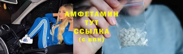 ПСИЛОЦИБИНОВЫЕ ГРИБЫ Балахна