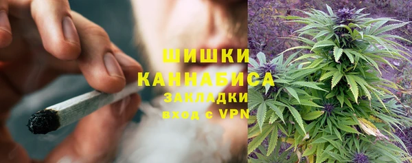 ПСИЛОЦИБИНОВЫЕ ГРИБЫ Балахна