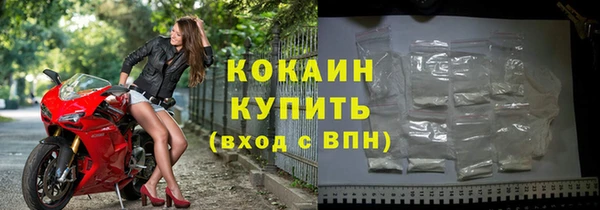 шишки Белокуриха