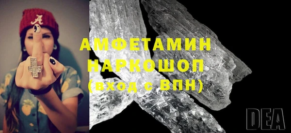 шишки Белокуриха