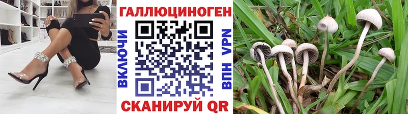 даркнет сайт  Новоалтайск  Галлюциногенные грибы Magic Shrooms 